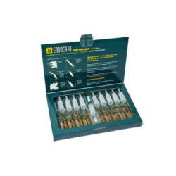 Endocare Tensage Ampollas 10X2 Ml.
